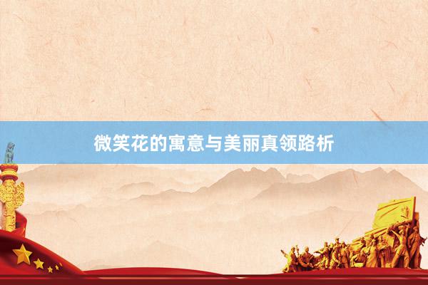 微笑花的寓意与美丽真领路析