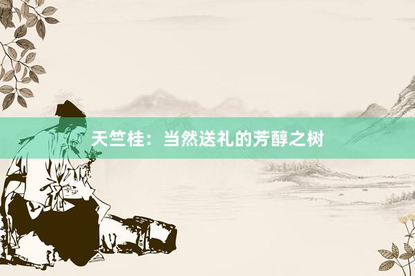 天竺桂：当然送礼的芳醇之树