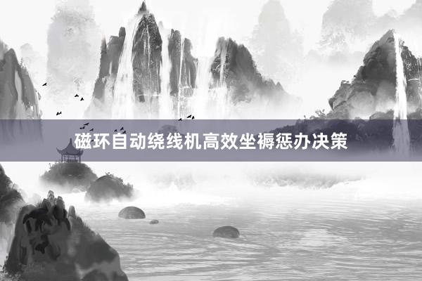 磁环自动绕线机高效坐褥惩办决策